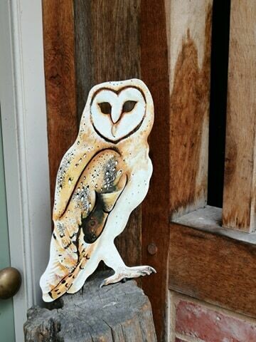 Hand Painted Owl