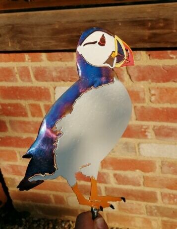 Puffin