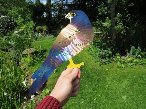 Kestrel