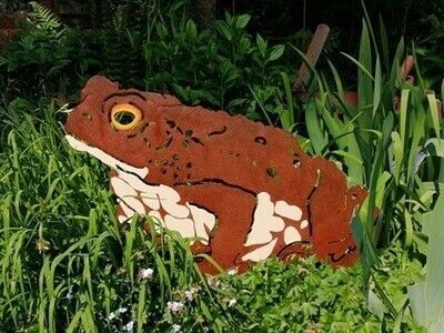 small Toad