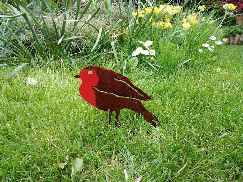 Robin