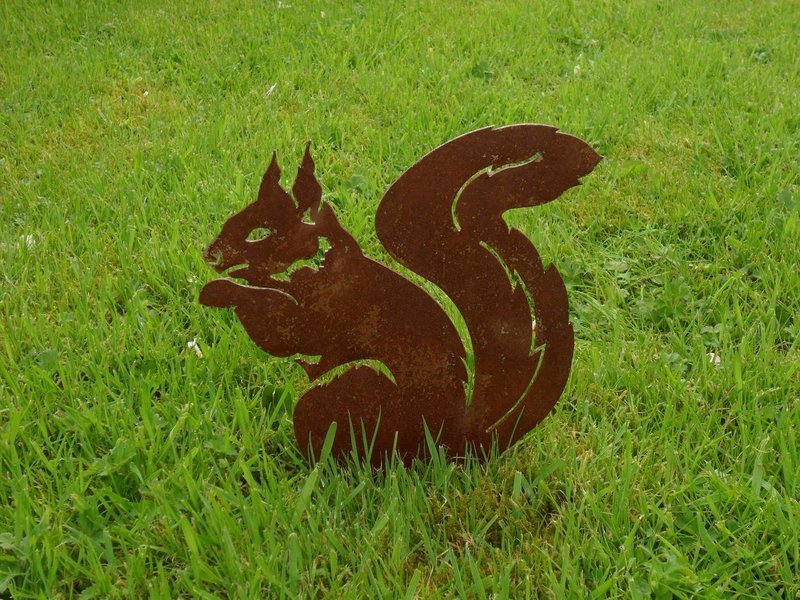 Rusty Squirrel