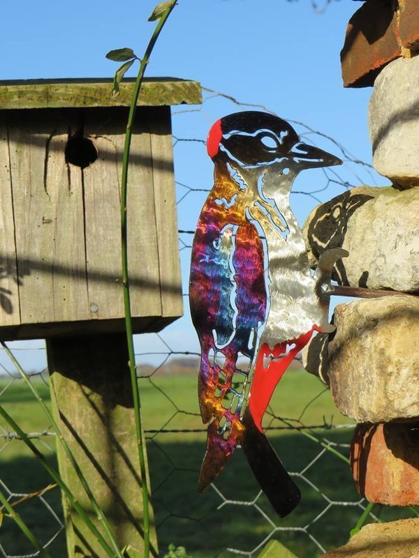 Woodpecker