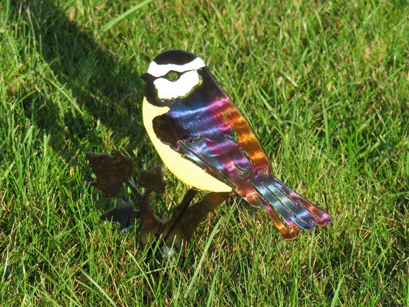 Blue Tit