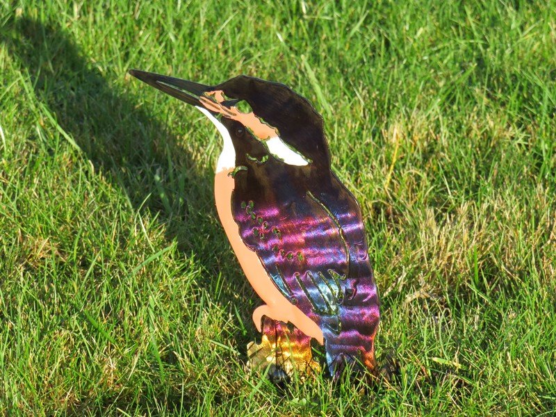 Kingfisher