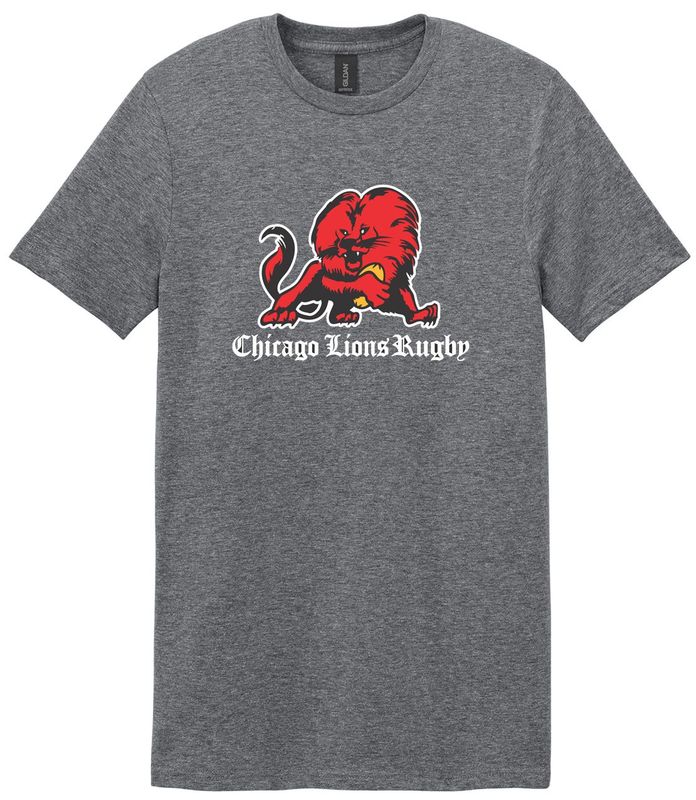 Lions - T-Shirt (Adult & Youth Sizes)