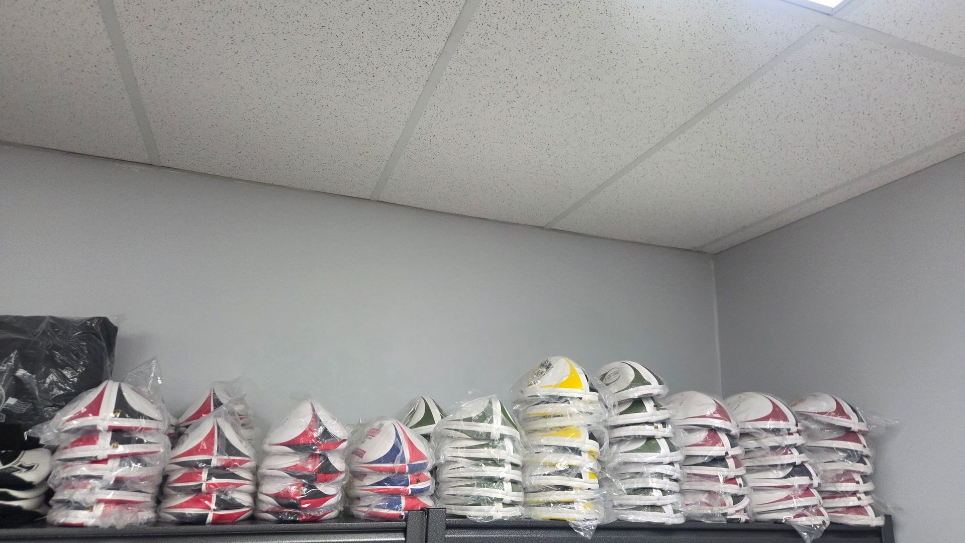 Mystery Training Ball Grab Bag 12 for $100