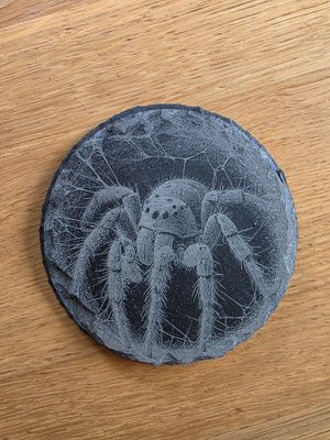 Schiefer Untersetzer Halloween Spinne Tarantula