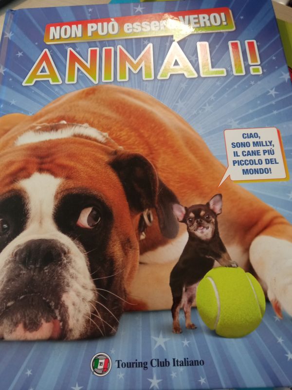 Non puo essere vero - Animali