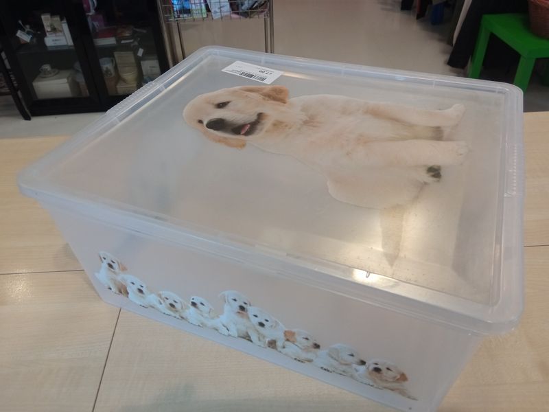 Scatola di plastica Kis
