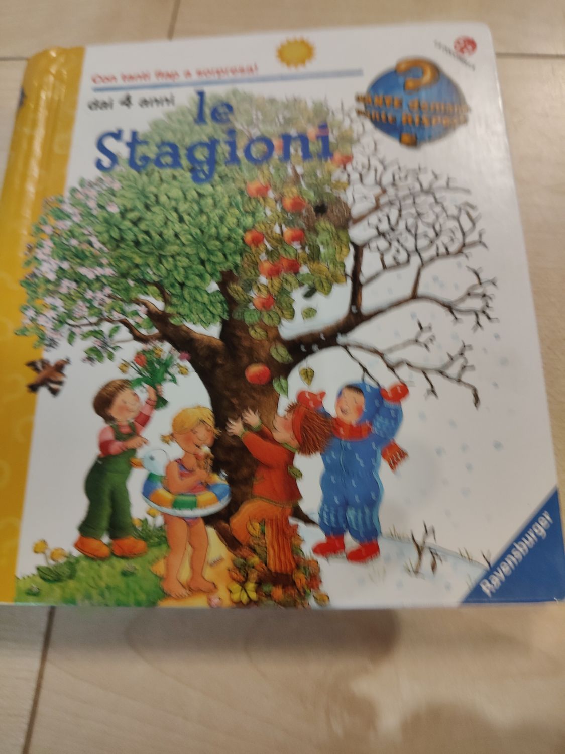 Le stagioni