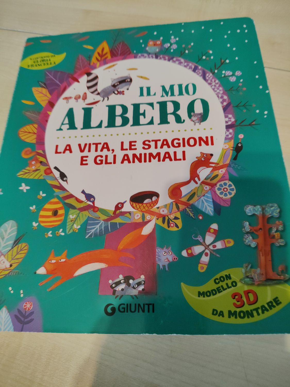 Il mio albero