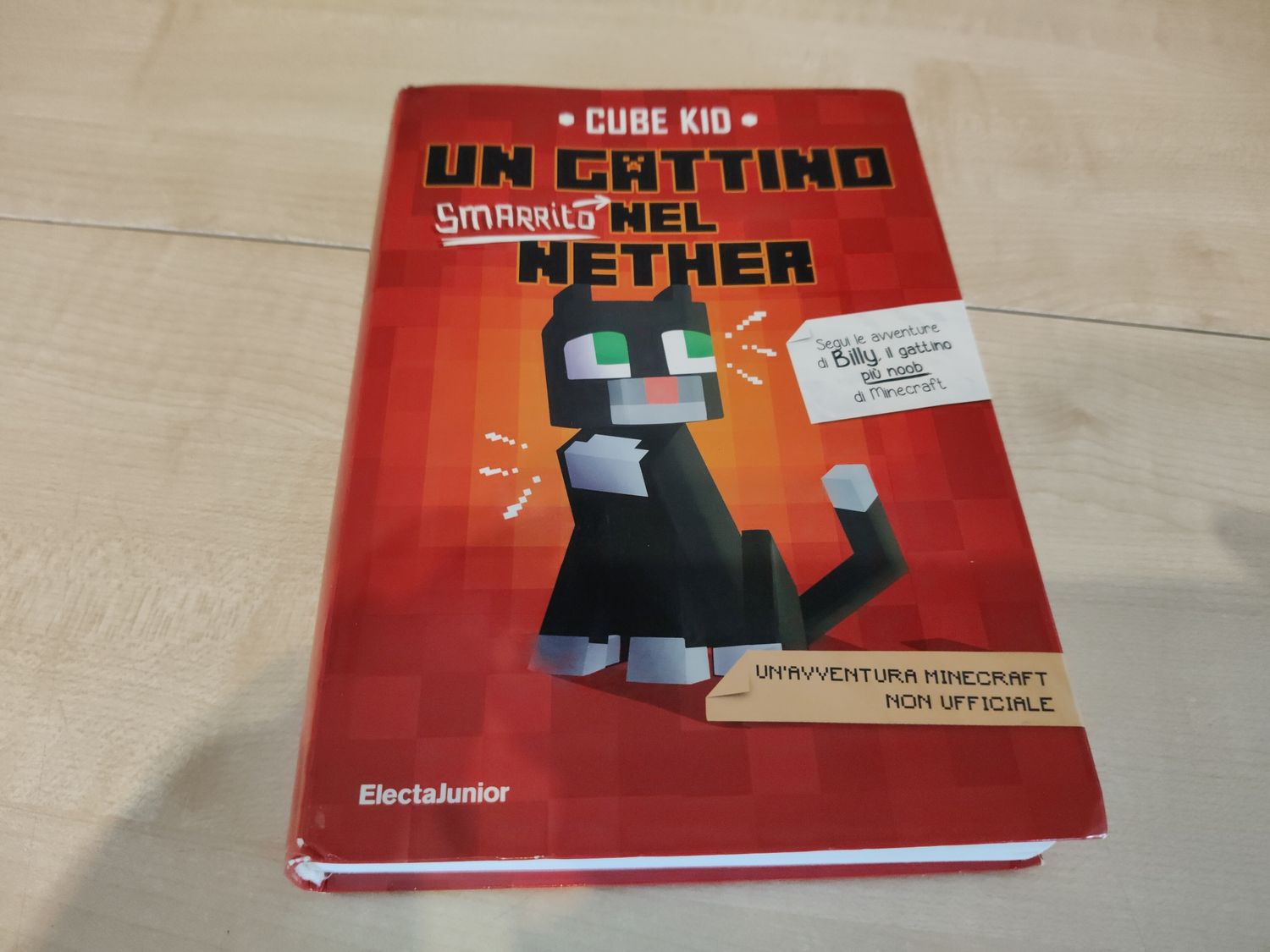 Un gattino smarrito nel Nether
