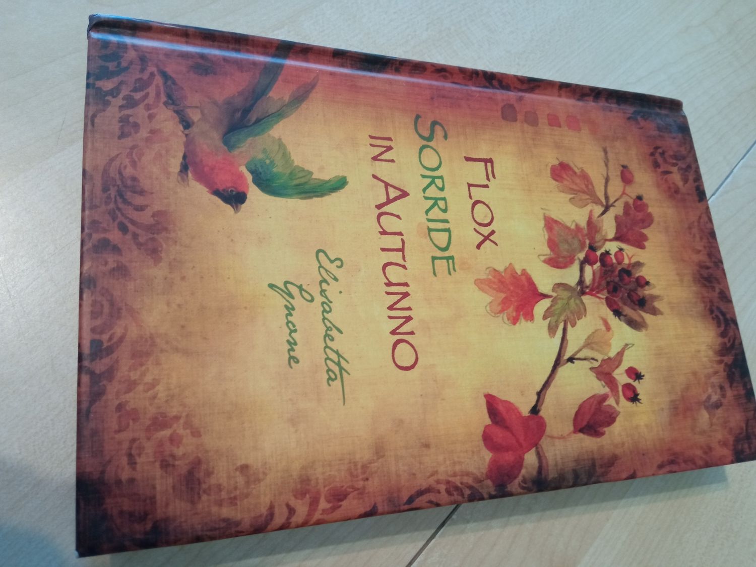 Flox sorride in autunno