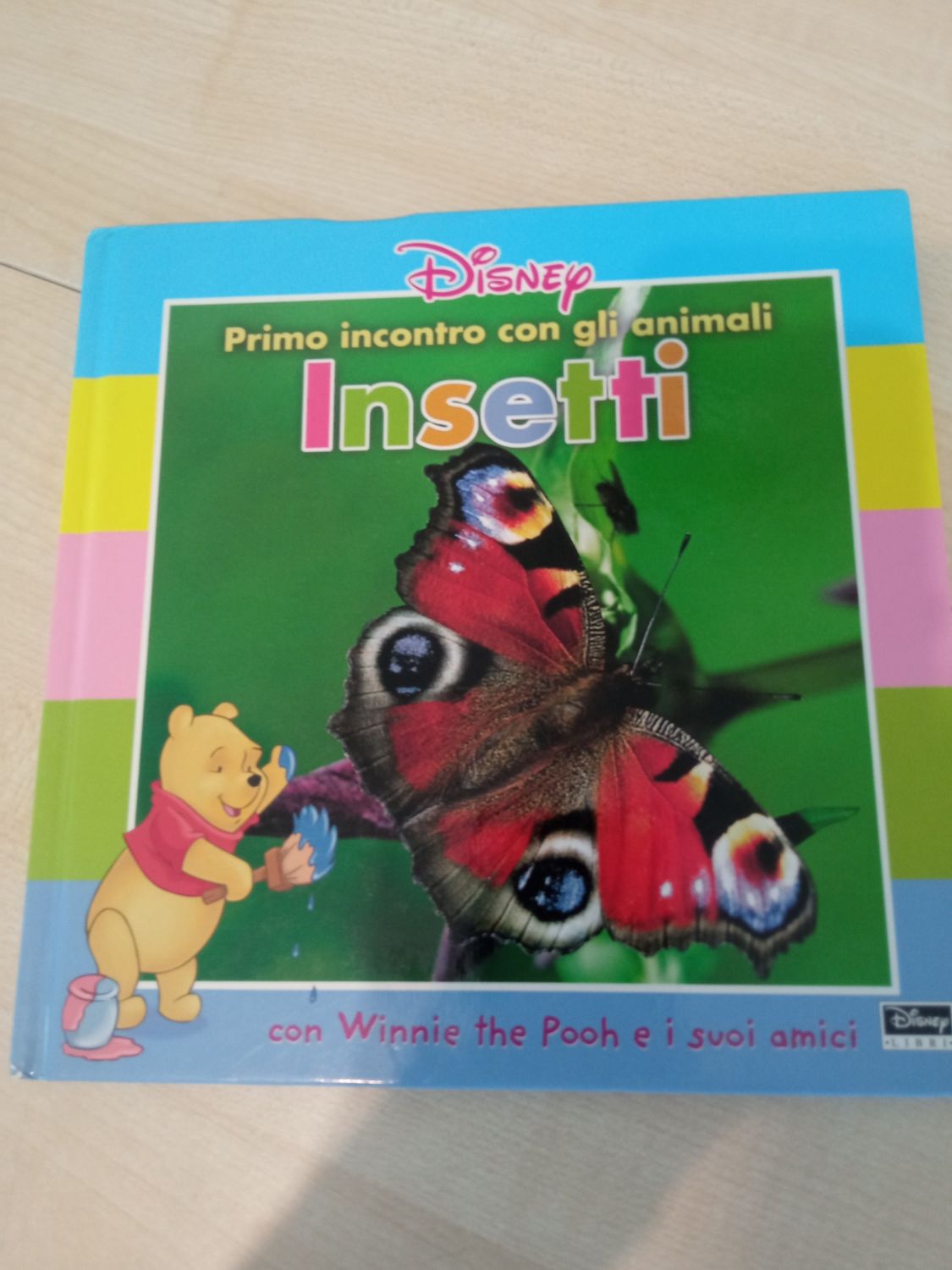 Insetti