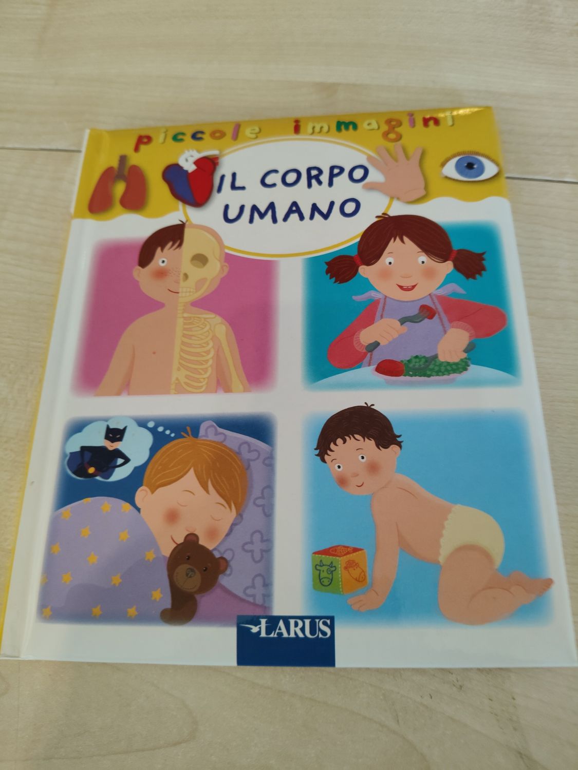 Il corpo umano