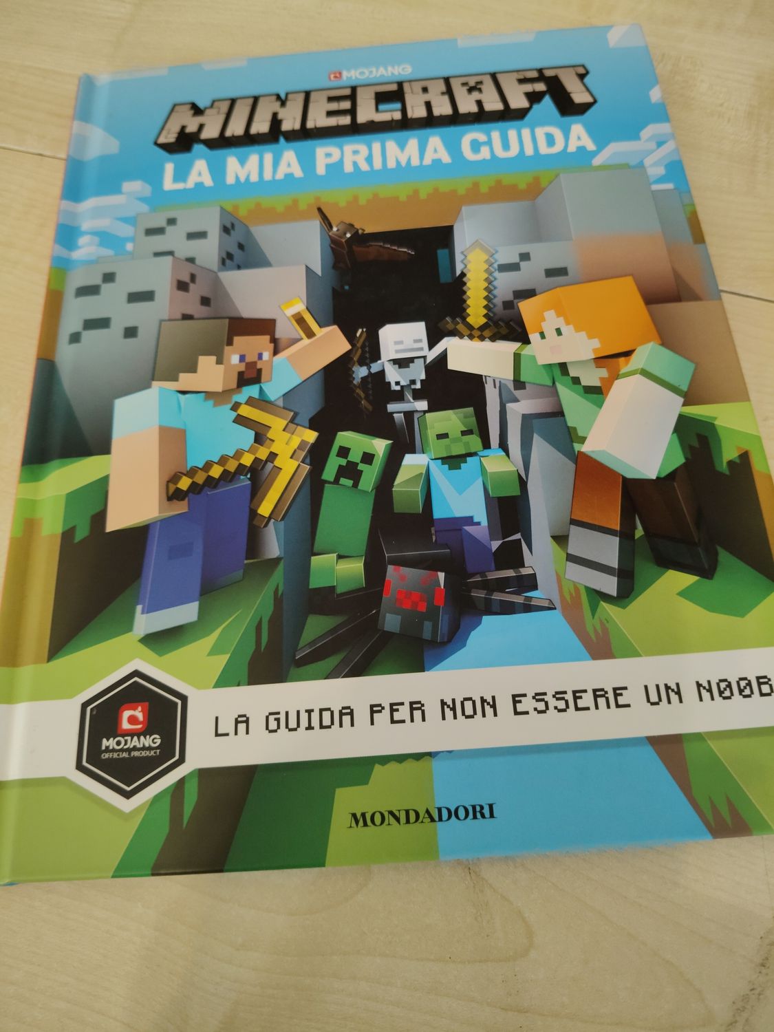 Minecraft la mia prima guida