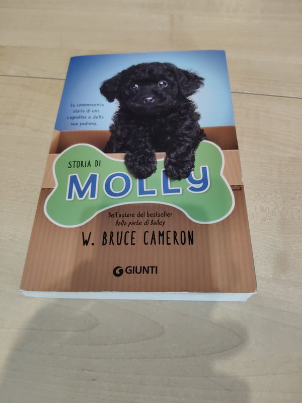 Storia di Molly