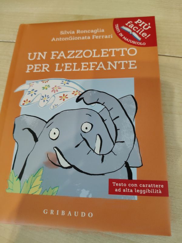 Un fazzoletto per l&#39;elefante