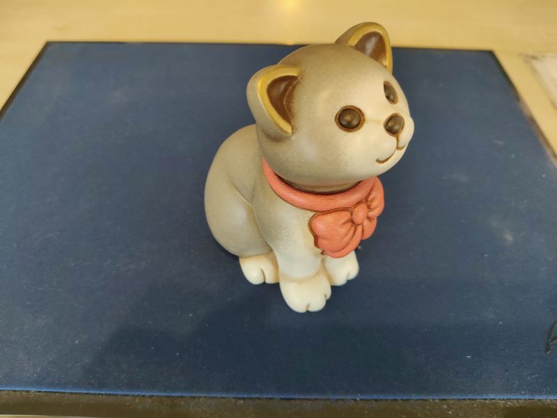 Gatto Thun