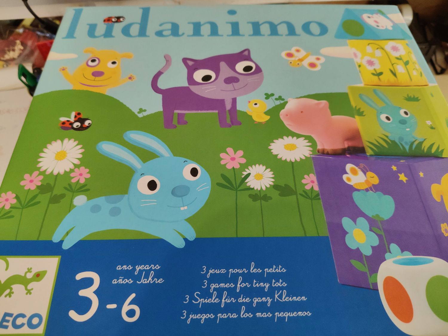 Ludamino