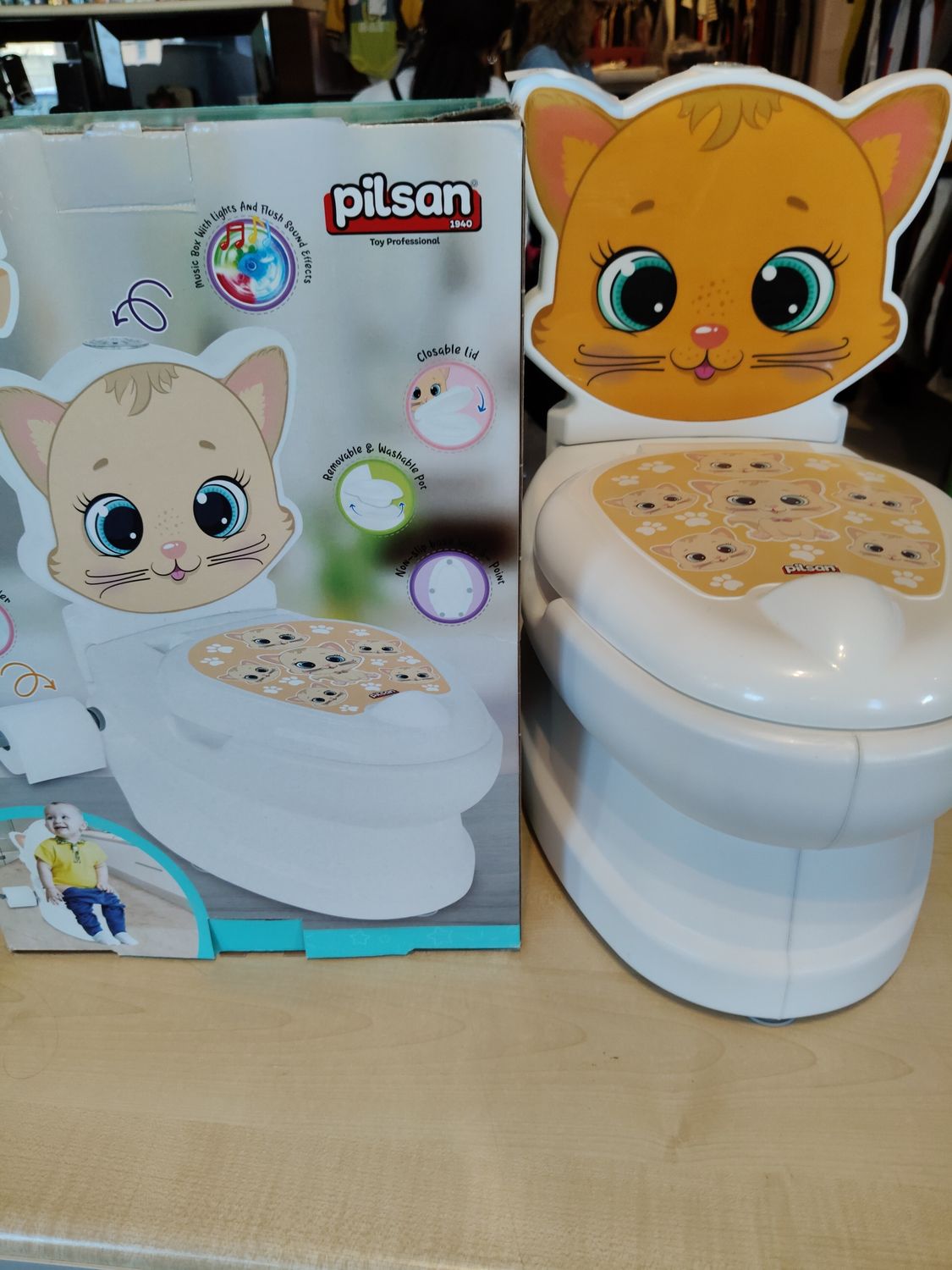 Vasino cat educational