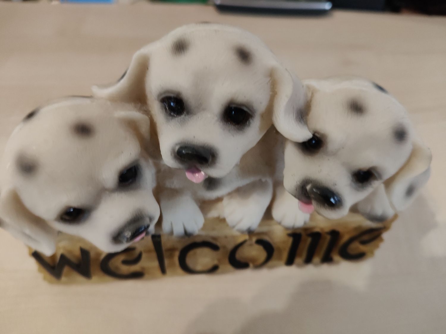 Cagnolini welcome