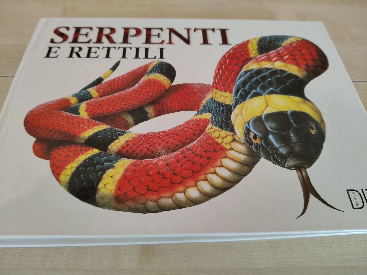 Serpenti e rettili