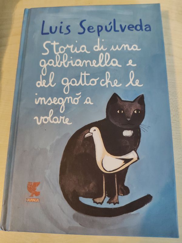Storia di una gabbianella e del gatto...