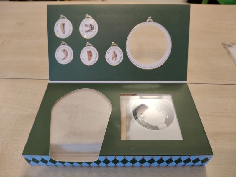 Kit di scavo dinosauro nuovo