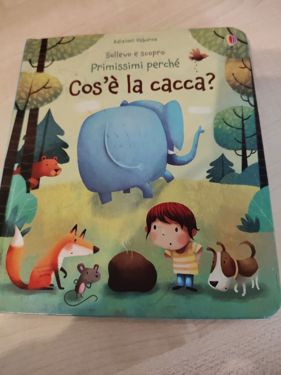 Cos'è la cacca?