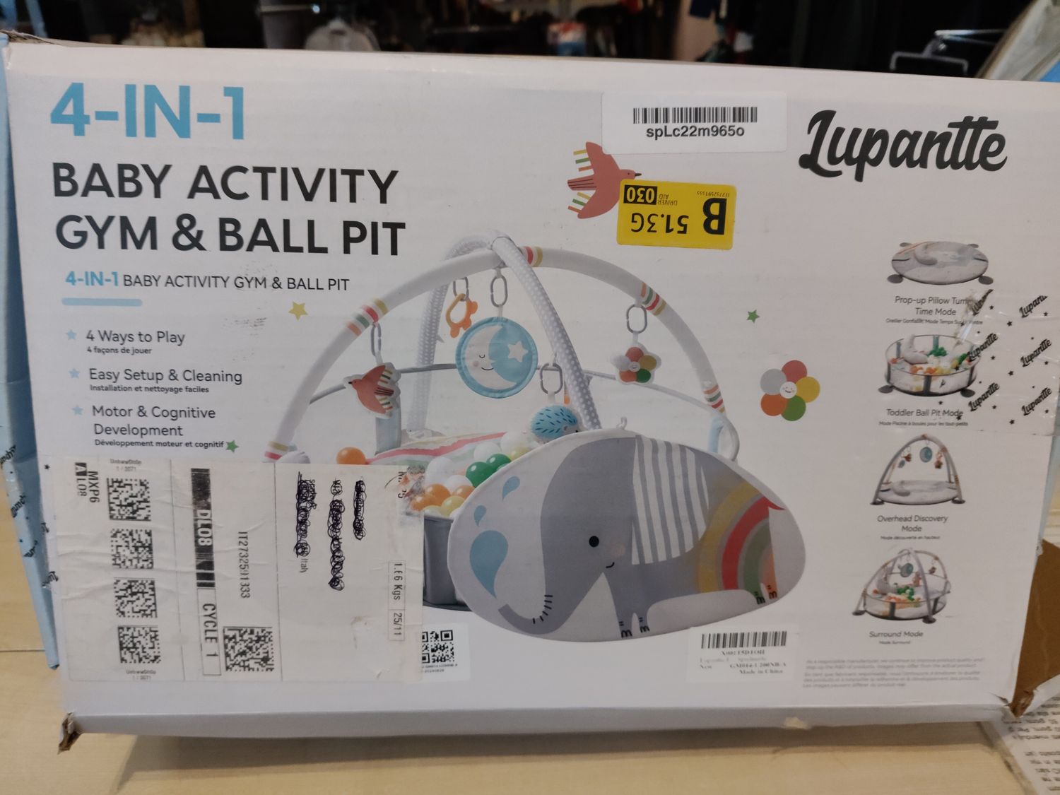 Palestrina Baby Activity Lupantte