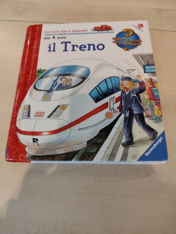 il treno