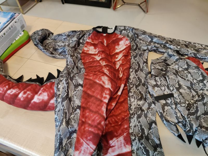 Costume di carnevale dinosauro tg L (bimbo)