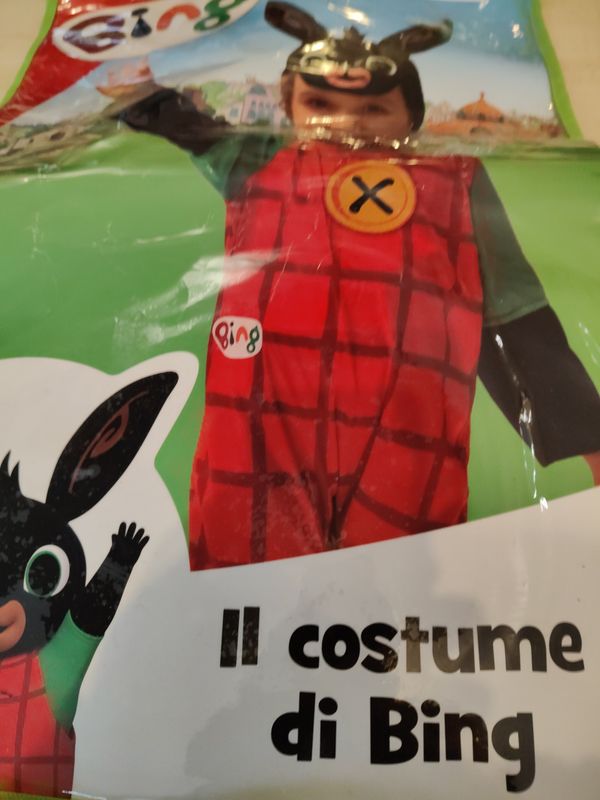 Costume di carnevale Bing 4/5 anni