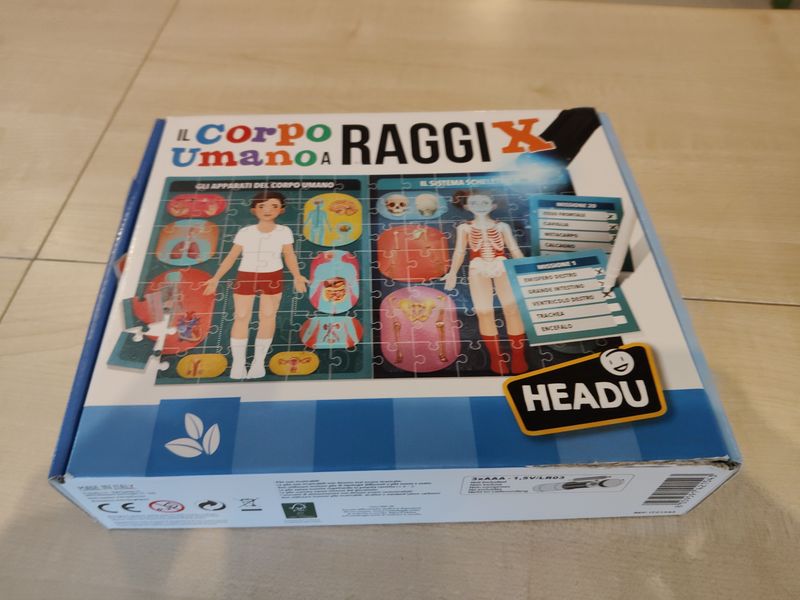 Il corpo umano a raggi X