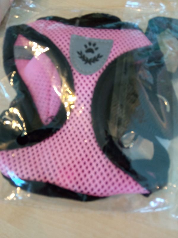 Guinzaglio per gatti