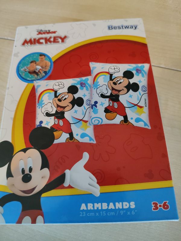 Braccioli Dinsey 3/6 anni Bestway nuovi Braccioli Dinsey 3/6 anni Bestway nuovi