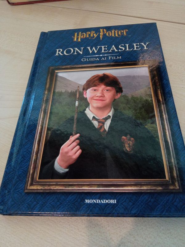 Harry Potter - guida al film