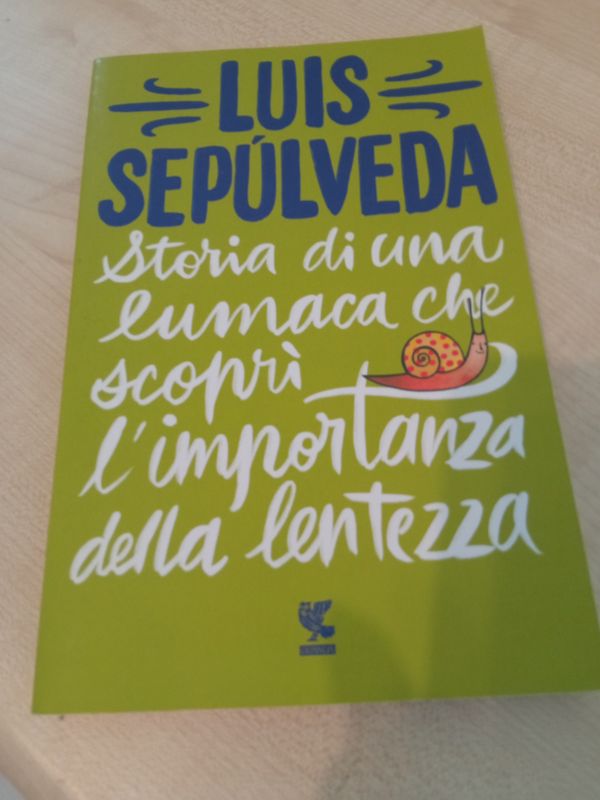 Storia di una lumaca che scoprì l'importanza della lentezza