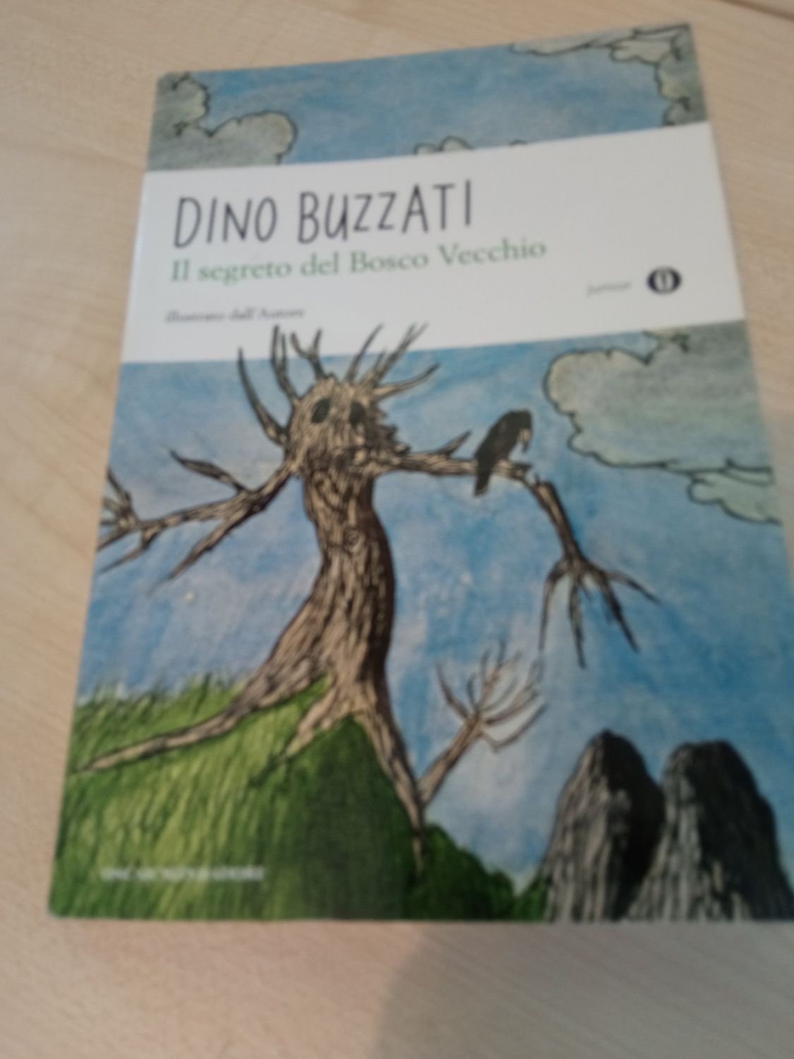 Il segreto del bosco vecchio