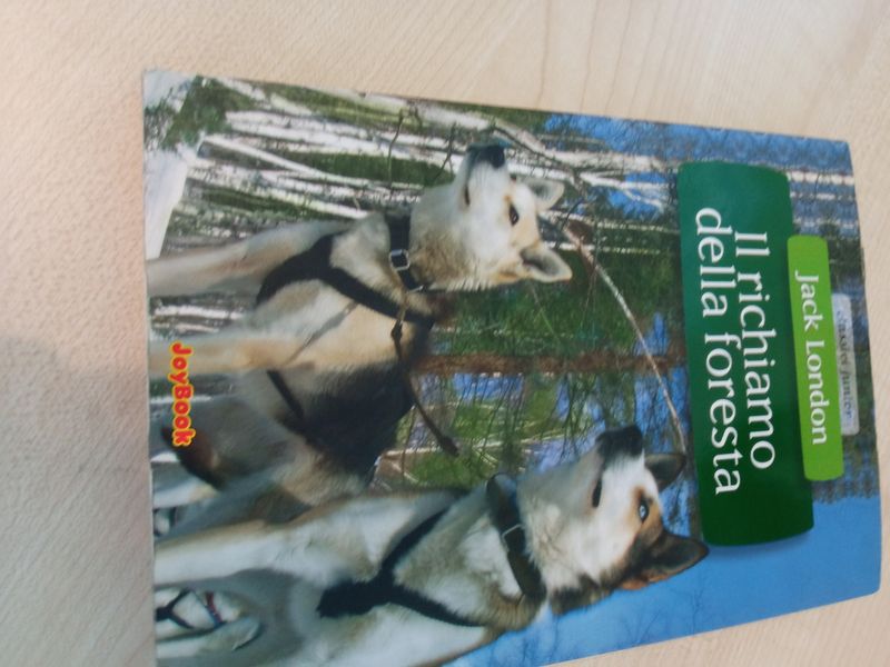 Il richiamo della foresta