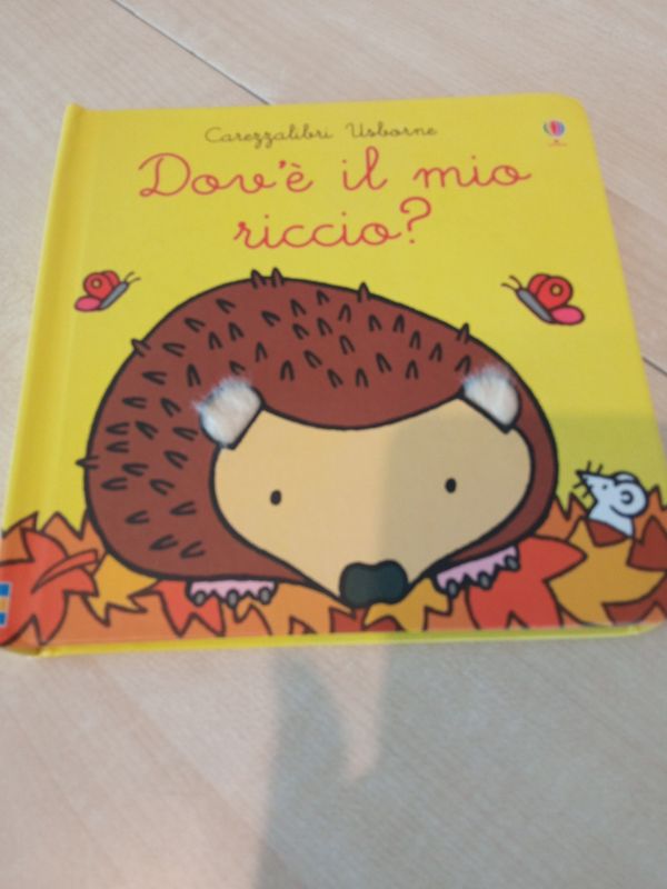 Dov'è il mio riccio ?