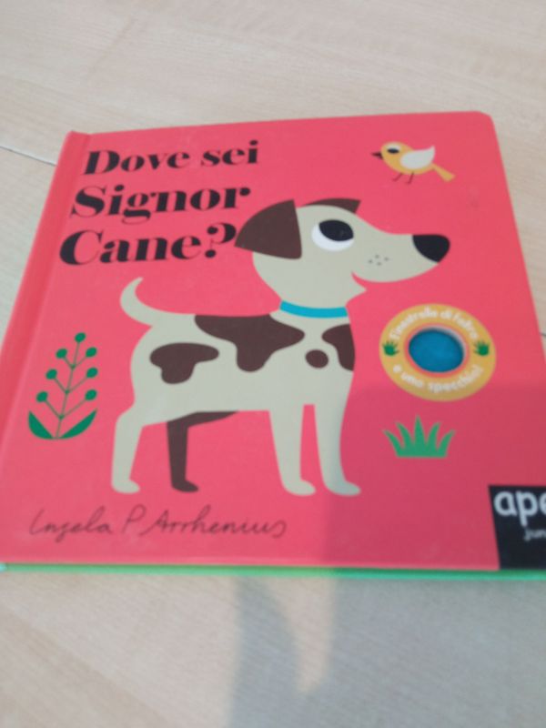 Dove sei signor cane?