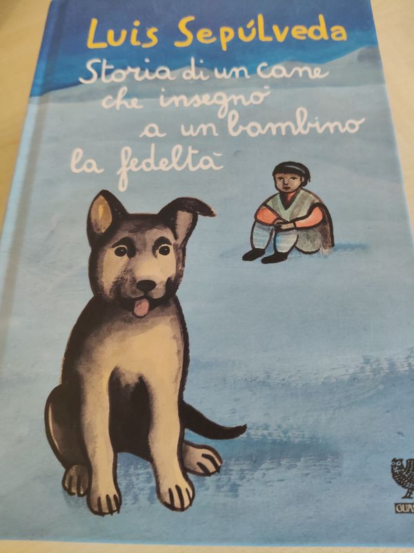 Storia di un cane che insegnò a un bambino la fedeltà