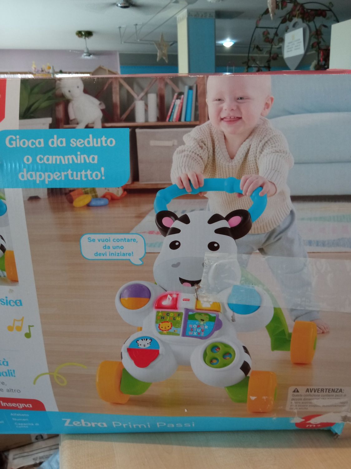 Primi passi Fisher Price
