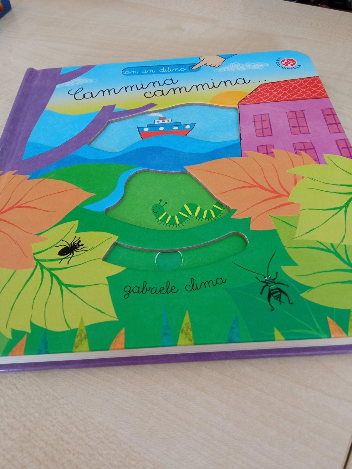 Cammina cammina