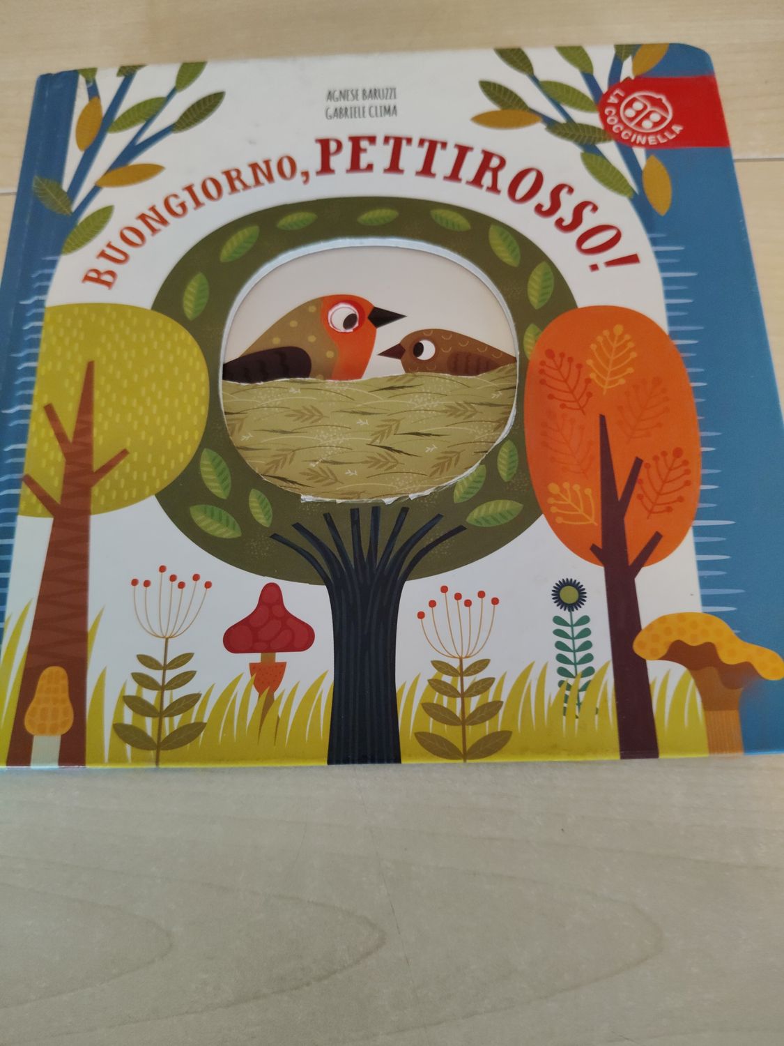 Buongiorno pettirosso