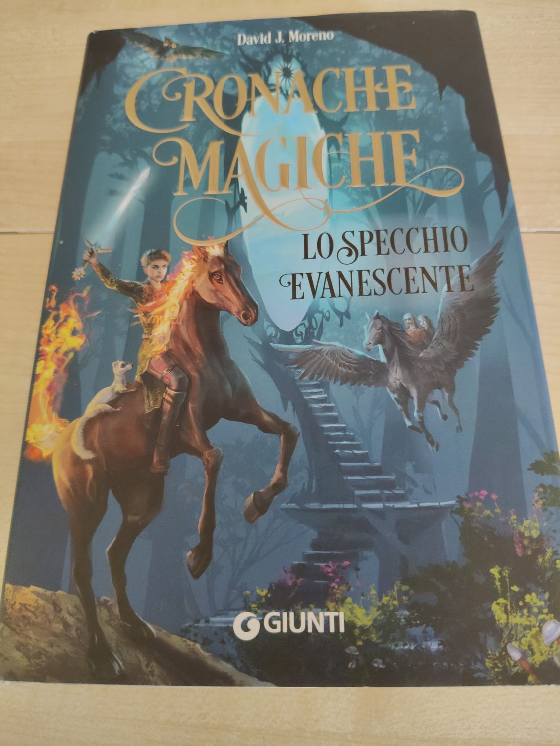 Cronache magiche - lo specchio evanescente