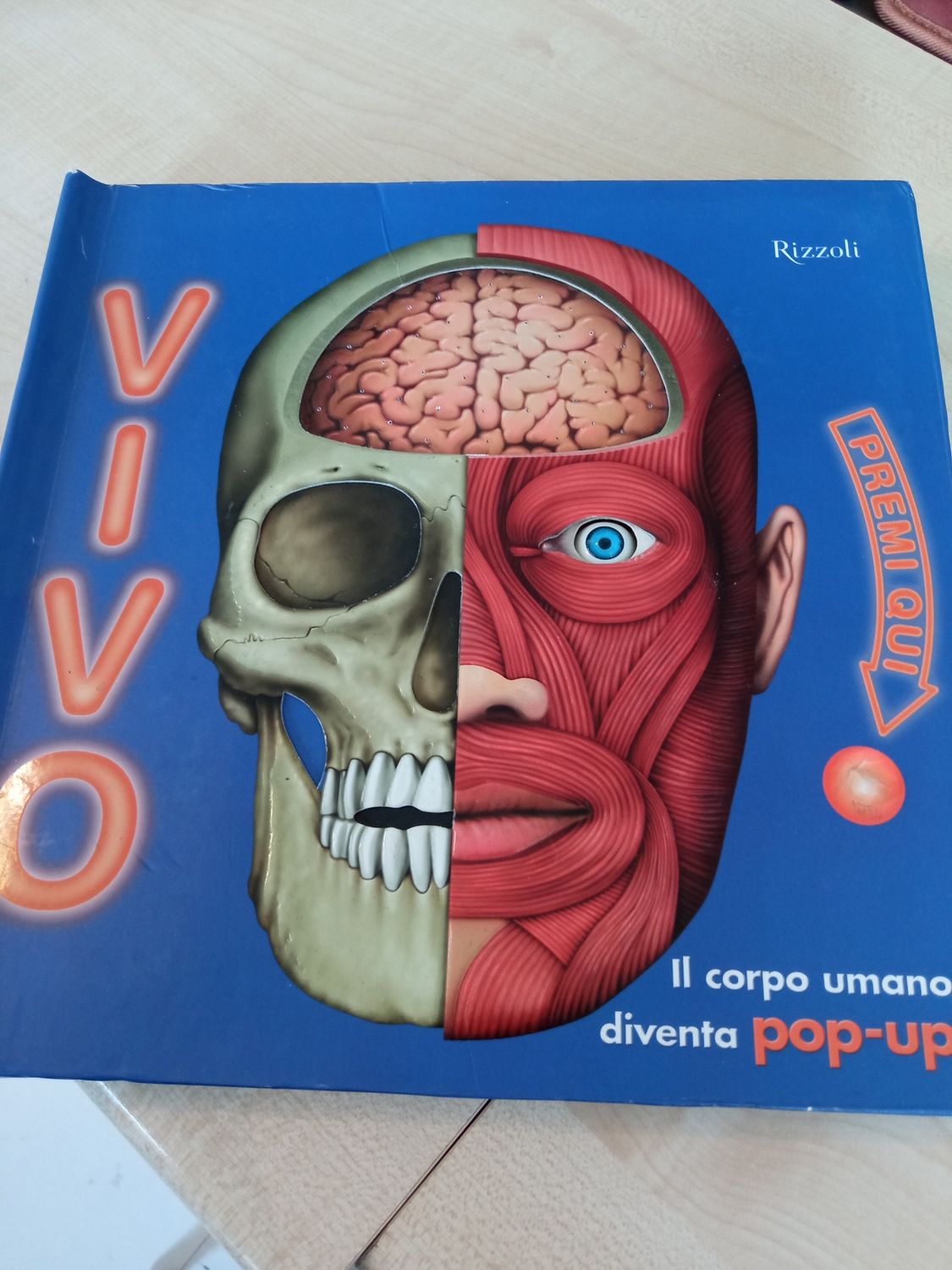 Vivo